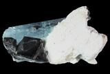 Gorgeous Aquamarine Crystal with Black Tourmaline & Feldspar - Namibia #92701-1